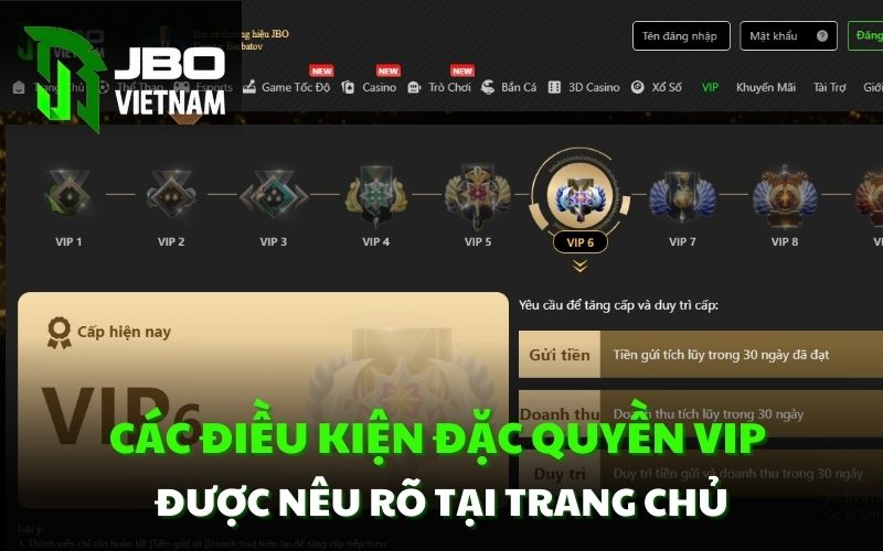 Các điều kiện đặc quyền VIP được nêu rõ tại trang chủ