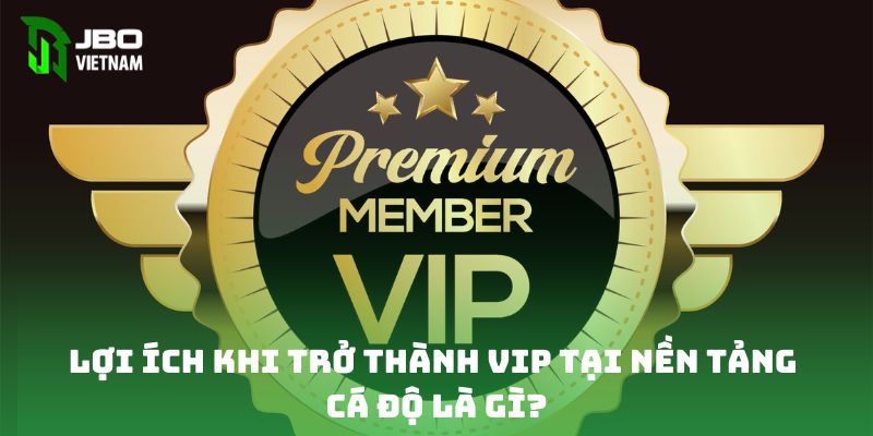 Lợi ích khi trở thành VIP tại nền tảng cá độ là gì?