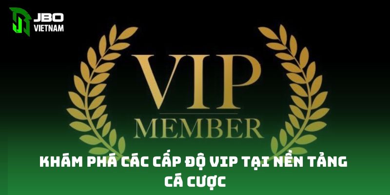 Khám phá các cấp độ VIP tại nền tảng cá cược