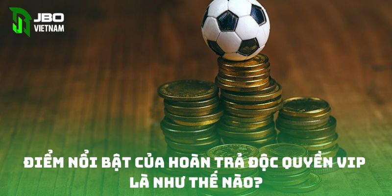 Điểm nổi bật của hoàn trả độc quyền VIP là như thế nào?