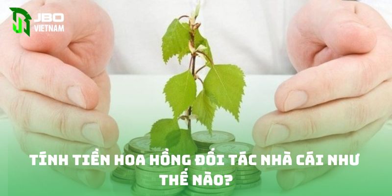 Tính tiền hoa hồng đối tác nhà cái như thế nào?