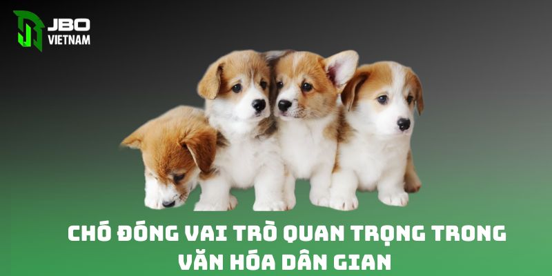 Chó đóng vai trò quan trọng trong văn hóa dân gian 