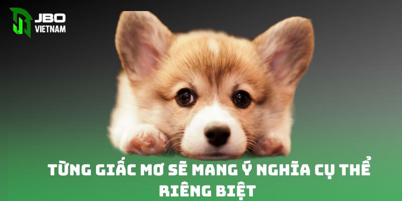 Từng giấc mơ sẽ mang ý nghĩa cụ thể riêng biệt 