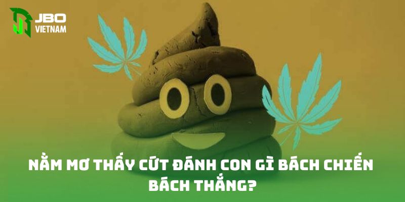 Nằm mơ thấy cứt đánh con gì bách chiến bách thắng?